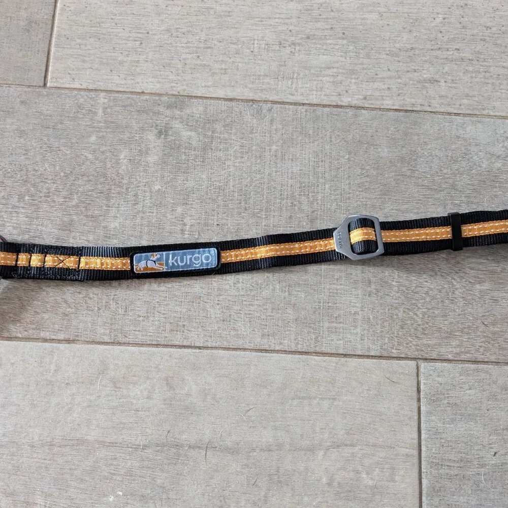 Seatbelt harness attachment